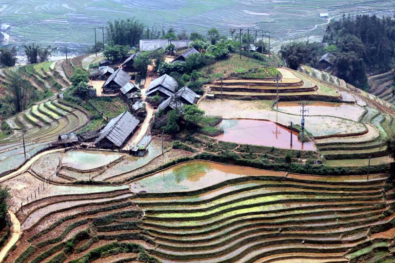 Terrace fields for Sapa trekking